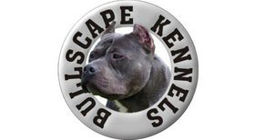 Bullscape