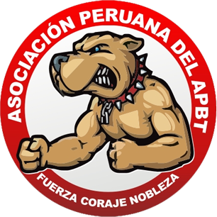 apbtperu png