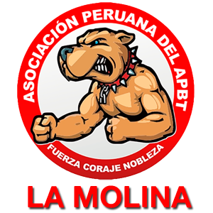 logo-sedes-la-molina